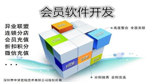 河源企業(yè)會(huì)員管理軟件開發(fā)基本功能詳解及上海軟件代理與開發(fā)服務(wù)分析