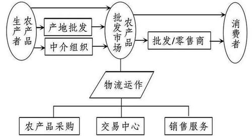 農(nóng)產(chǎn)品物流的發(fā)展趨勢與主要模式 上海軟件代理與開發(fā)的創(chuàng)新視角